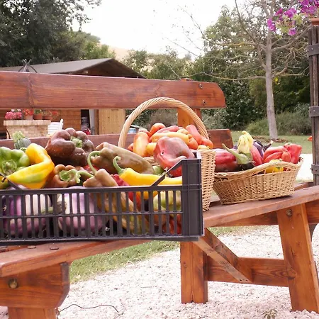 Il Casone Bed & Breakfast