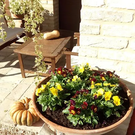 Il Casone 3* Montelupone