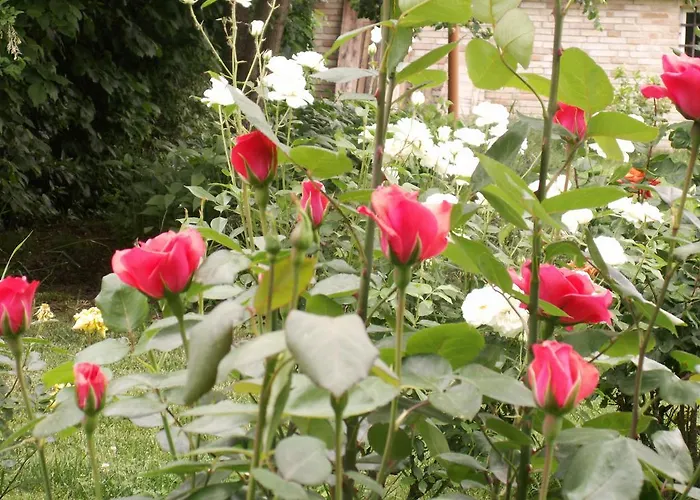 Il Casone