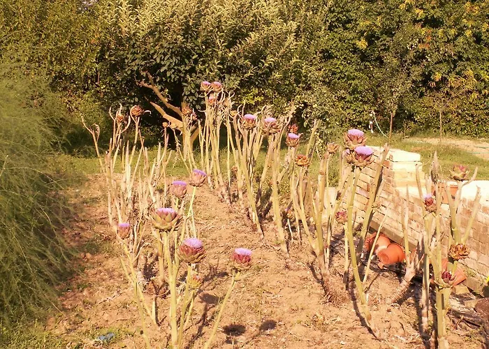 Panzió Il Casone 3*
