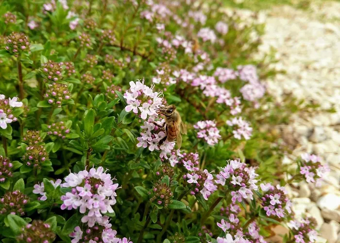 Il Casone Panzió 3*